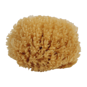 Eponge de bain naturelle