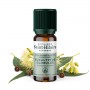 Huile essentielle - Eucalyptus Globulus