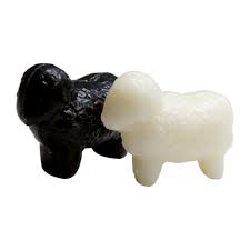 Savon lait de brebis