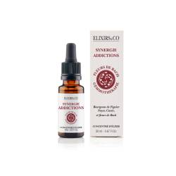 Synergie Addictions