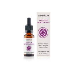 Synergie Articulation